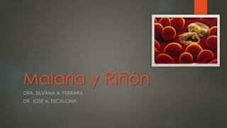 Malaria y Riñón
DRA. SILVANA A. FERRARA
DR. JOSE A. ESCALONA
 