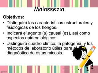 Malasezia Spp PPTX Malasezia Spp PPTX