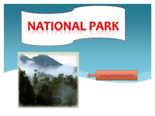 Gunung MuluNational Park
 
