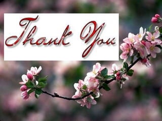 Malassezia infection