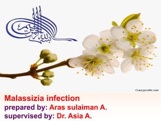 Malassizia infection
prepared by: Aras sulaiman A.
supervised by: Dr. Asia A.
 
