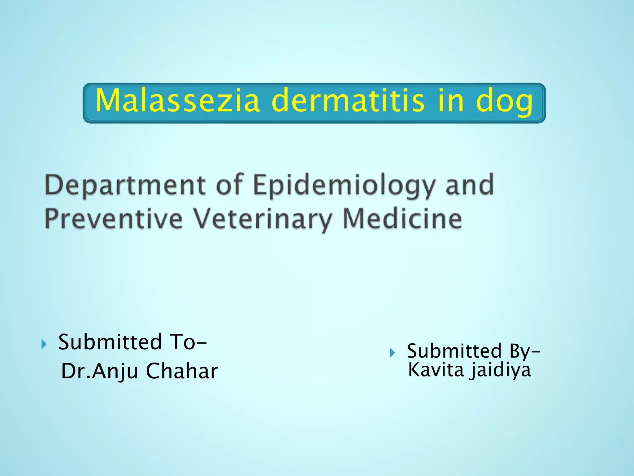 Malassia Pachydermatitis pptx Malassia Pachydermatitis pptx