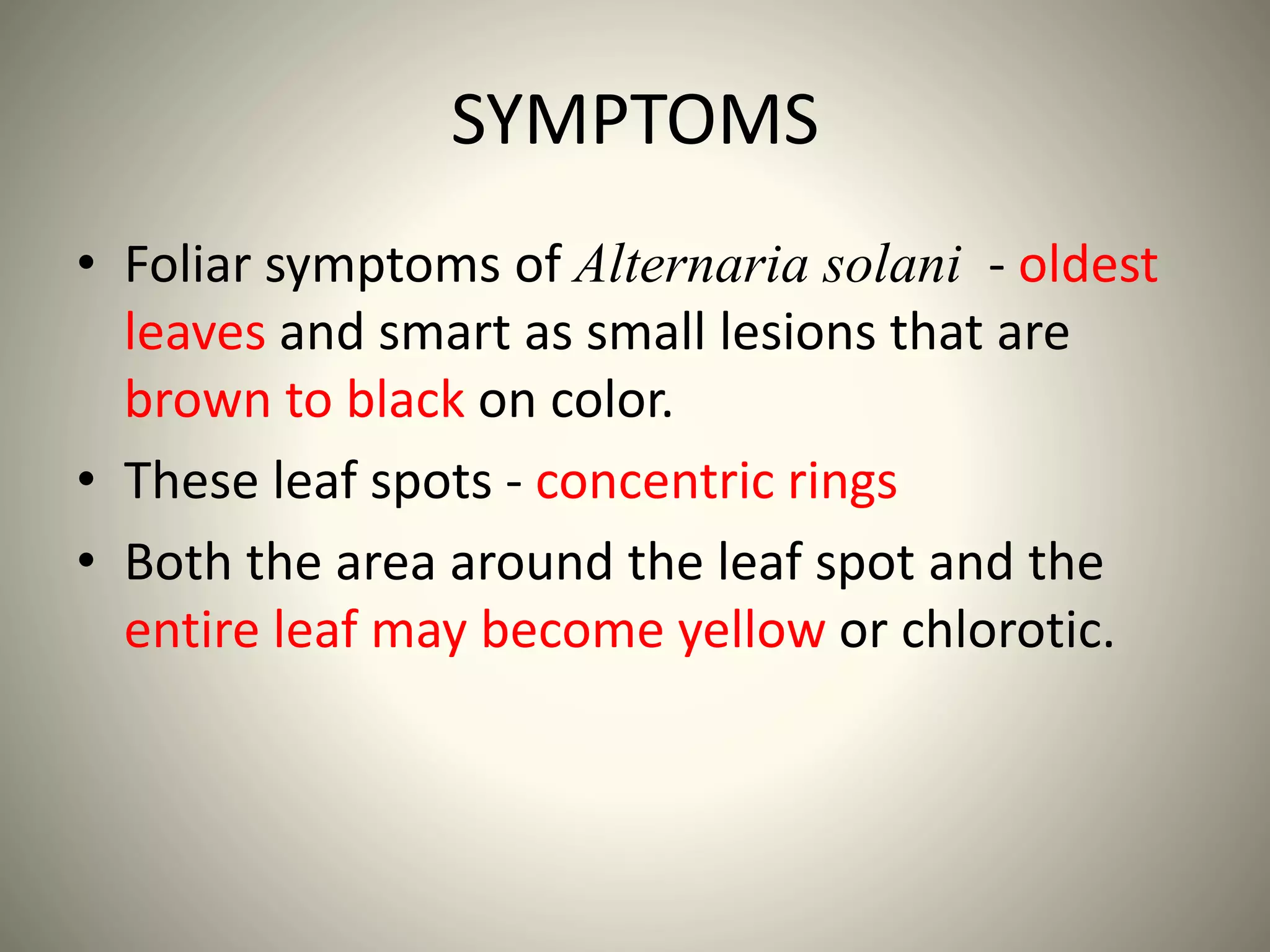 SYMPTOMS AND LIFE CYCLE OF Alternaria solani | PPTX