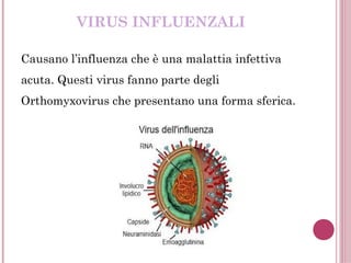 VIRUS INFLUENZALI
Causano l’influenza che è una malattia infettiva
acuta. Questi virus fanno parte degli
Orthomyxovirus che presentano una forma sferica.
 