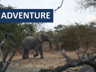 ADVENTURE