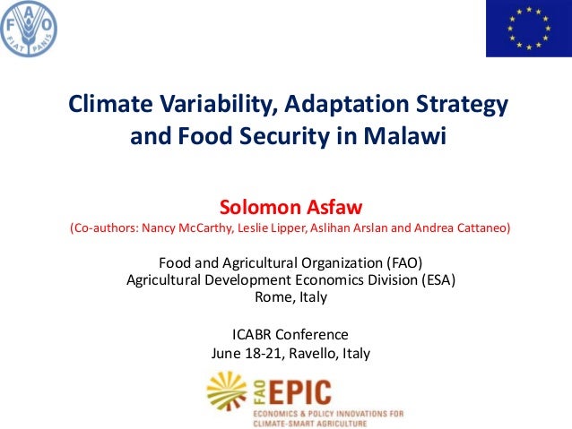Adaptation dissertation strategic