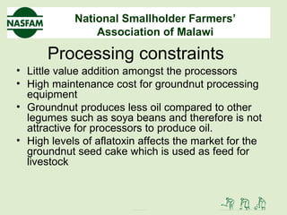 National Smallholder Farmers’
Association of Malawi
Processing constraints
• Little value addition amongst the processors
• High maintenance cost for groundnut processing
equipment
• Groundnut produces less oil compared to other
legumes such as soya beans and therefore is not
attractive for processors to produce oil.
• High levels of aflatoxin affects the market for the
groundnut seed cake which is used as feed for
livestock
 