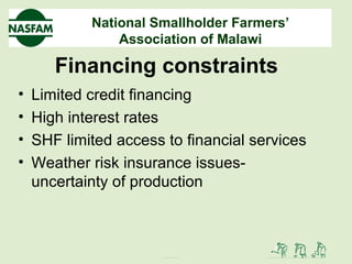 National Smallholder Farmers’
Association of Malawi
Financing constraints
• Limited credit financing
• High interest rates
• SHF limited access to financial services
• Weather risk insurance issues-
uncertainty of production
 