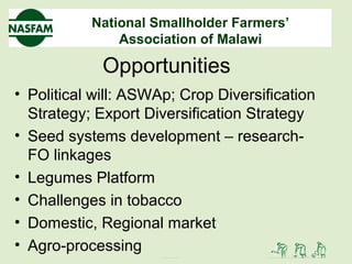 National Smallholder Farmers’
Association of Malawi
Opportunities
• Political will: ASWAp; Crop Diversification
Strategy; Export Diversification Strategy
• Seed systems development – research-
FO linkages
• Legumes Platform
• Challenges in tobacco
• Domestic, Regional market
• Agro-processing
 