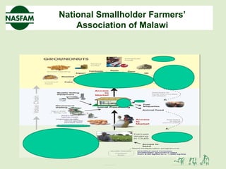 National Smallholder Farmers’
Association of Malawi
 