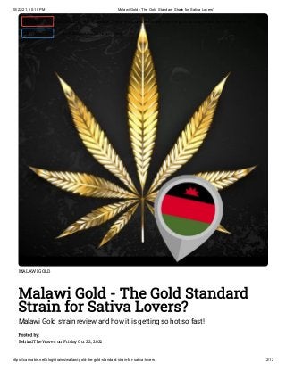 10/22/21, 10:10 PM Malawi Gold - The Gold Standard Strain for Sativa Lovers?
https://cannabis.net/blog/strains/malawi-gold-the-gold-standard-strain-for-sativa-lovers 2/12
MALAWI GOLD
Malawi Gold - The Gold Standard
Strain for Sativa Lovers?
Malawi Gold strain review and how it is getting so hot so fast!
Posted by:

BehindTheWaves on Friday Oct 22, 2021
 Edit Article (https://cannabis.net/mycannabis/c-blog-entry/update/malawi-gold-the-gold-standard-strain-for-sativa-lovers)
 Article List (https://cannabis.net/mycannabis/c-blog)
 