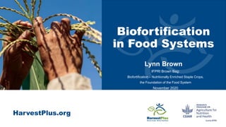 HarvestPlus.org
Biofortification
in Food Systems
Lynn Brown
IFPRI Brown Bag:
Biofortification – Nutritionally Enriched Staple Crops,
the Foundation of the Food System
November 2020
 