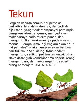 Malay Motivational Diligence Tract.pdf