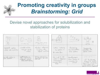 Devise novel approaches for solubilization and stabilization of proteins Promoting creativity in groups  Brainstorming: Grid 