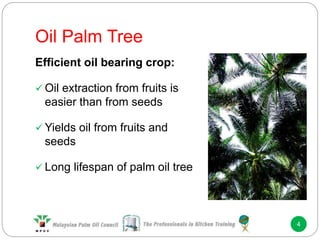 Oil Palm Tree
4
Efficient oil bearing crop:
 Oil extraction from fruits is
easier than from seeds
 Yields oil from fruits and
seeds
 Long lifespan of palm oil tree
 