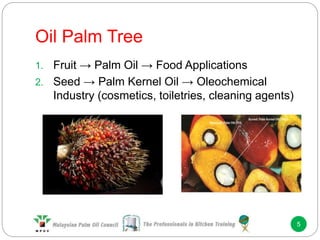 Oil Palm Tree
5
1. Fruit → Palm Oil → Food Applications
2. Seed → Palm Kernel Oil → Oleochemical
Industry (cosmetics, toiletries, cleaning agents)
 