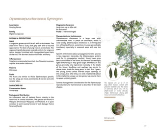 Malaysian Threatened and Rare Tree_ Identification and Landscape ...