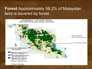 Forest  Approximately 58.2% of Malaysian land is covered by forest. 