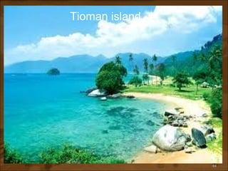 Tioman island 