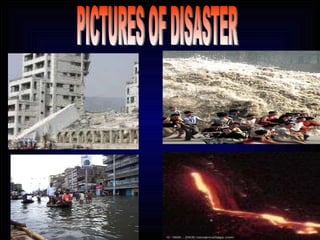 PICTURES OF DISASTER 