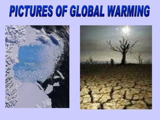 PICTURES OF GLOBAL WARMING 