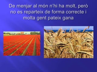 Malbaratament d’aliments anna i andrea