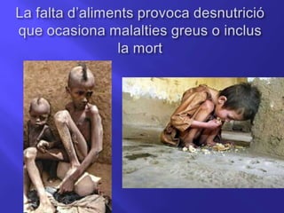 Malbaratament d’aliments anna i andrea