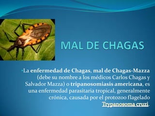 MAL DE CHAGASLa enfermedad de Chagas, mal de Chagas-Mazza (debe su nombre a los médicos Carlos Chagas y Salvador Mazza) o tripanosomiasis americana, es una enfermedad parasitaria tropical, generalmente crónica, causada por el protozoo flagelado Trypanosomacruzi. Como se transmite…Se transmite generalmente cuando se tiene contacto con las heces fecales de la chinche picuda.Donde se encuentra la chinche picuda…Principalmente en casas de bajareque, en hendiduras, detrás de carteles, en colchones, etc.