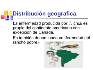 Distribución geografica. 
La enfermedad producida por T. cruzi es 
propia del continente americano con 
excepción de Canadá. 
Es también denominada «enfermedad del 
rancho pobre» 
 