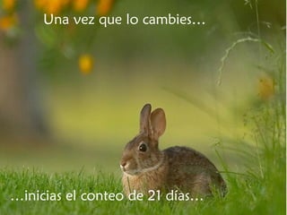 Una vez que lo cambies… … inicias el conteo de 21 días… 