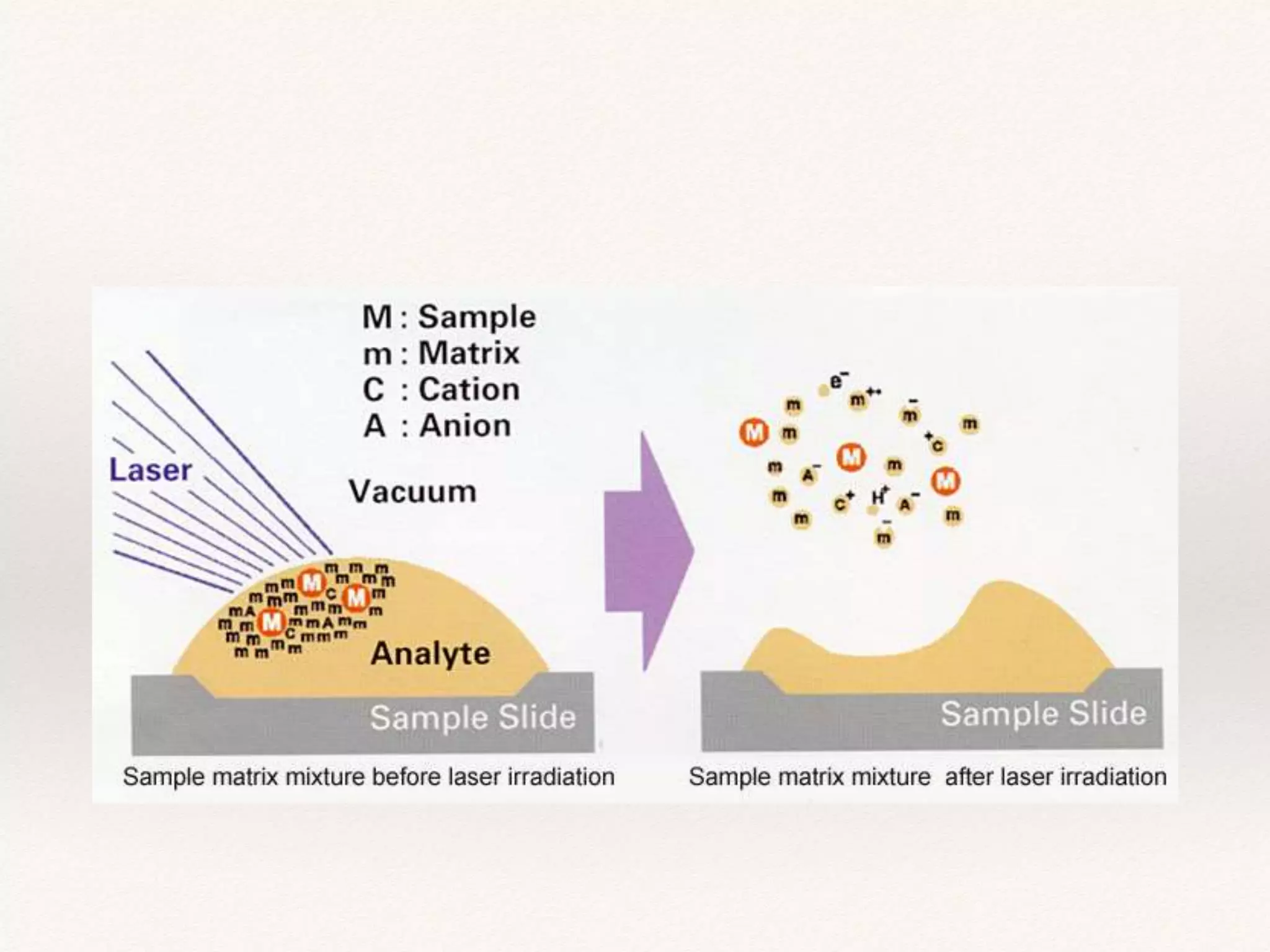 MALDI-TOF Mass Spectrometry | PPTX