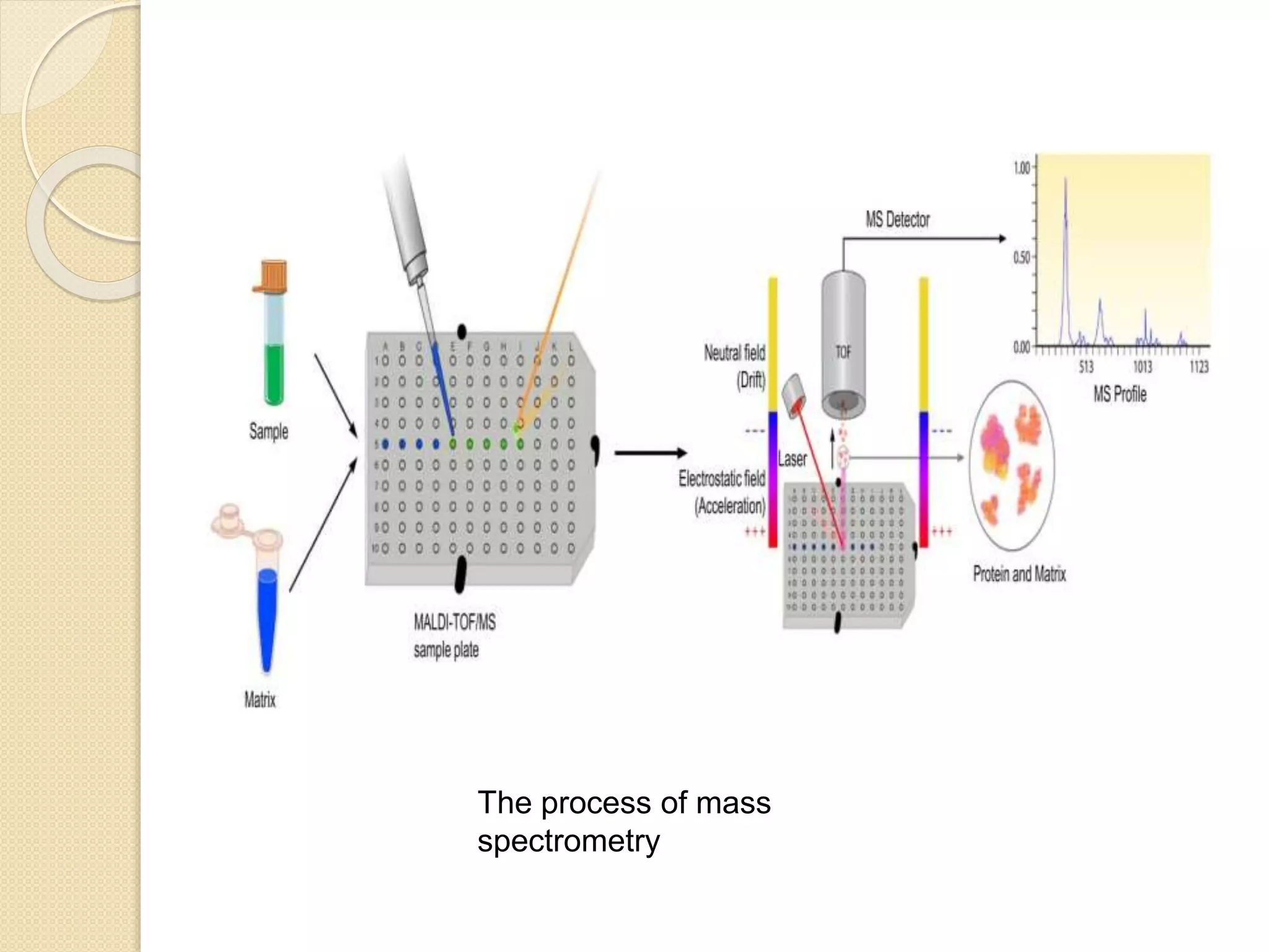The process of mass
spectrometry
 