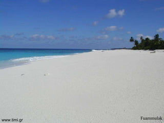 Fuammulak www.timi.gr 