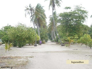 Inguraidhoo www.timi.gr 