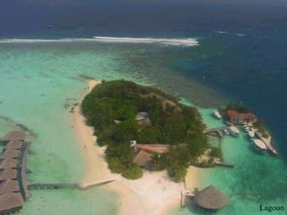 Lagoon 