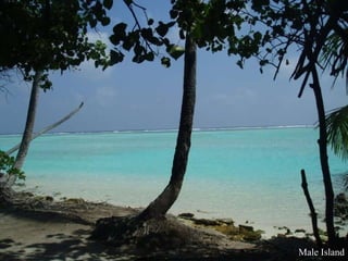 Male Island 
