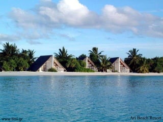Ari   Beach   Resort www.timi.gr 