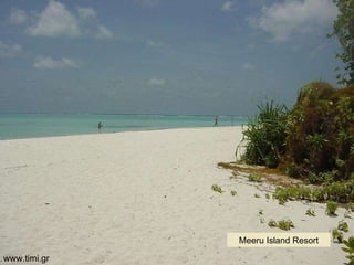 Meeru   Island   Resort www.timi.gr 