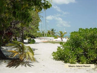 Meeru   Island   Resort 