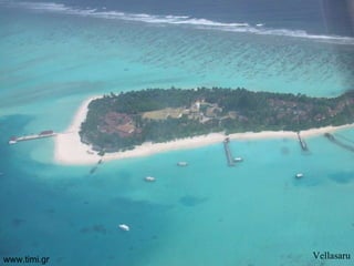 Vellasaru www.timi.gr 
