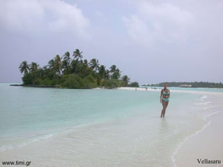 Vellasaru www.timi.gr 