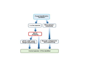 Maldi tof introduction and its applications
