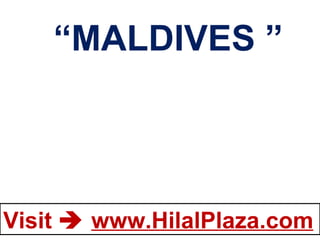 “ MALDIVES ” 