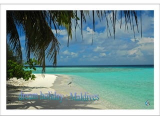 dream holiday : Maldives 