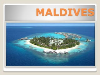 MALDIVES
 