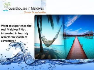 Want to experience the
real Maldives? Not
interested in touristy
resorts? In search of
adventure?
 