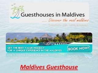 Maldives Guesthouse
 