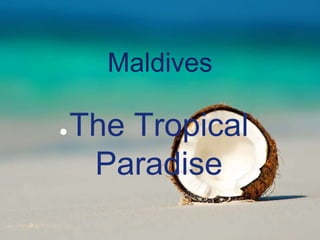 Maldives
●The Tropical
Paradise
 