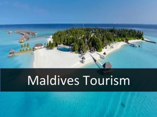 Maldives Tourism
 
