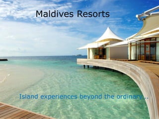 Maldives Resorts




Island experiences beyond the ordinary...
 